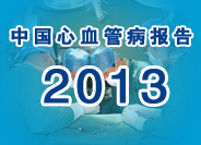 中国心血管病报告2013